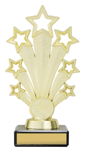 DF4677 Star Trophy