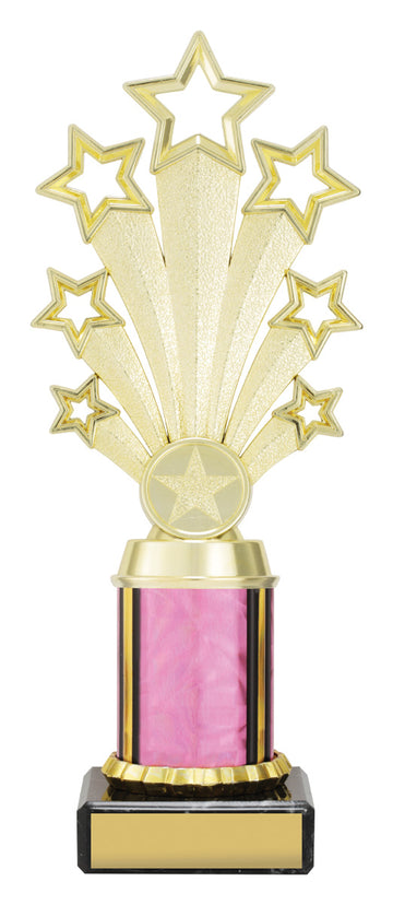 DF4677 Star Trophy