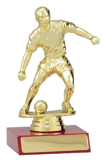 F4120 Soccer Trophy