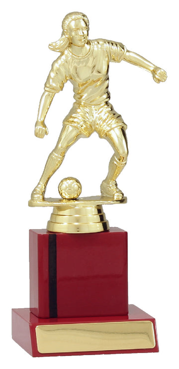 F4120 Soccer Trophy