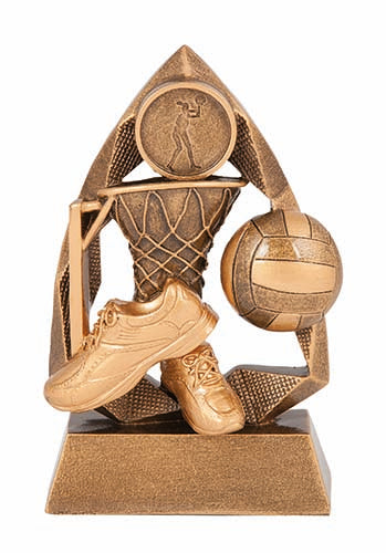 RLC453 Netball Trophy